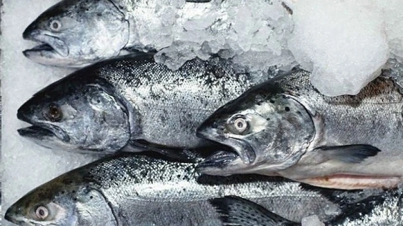 Минсельхоз предложил субсидировать перевозки рыбы с Дальнего Востока