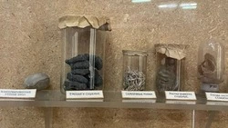 Краснокнижный сушеный трепанг попал на выставку в Санкт-Петербурге