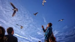 Участники форума «ОстроVa» сгенерируют предложения по развитию туризма на Сахалине