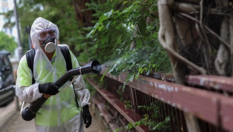 В Китае тропической лихорадкой заразились уже 10 тысяч человек