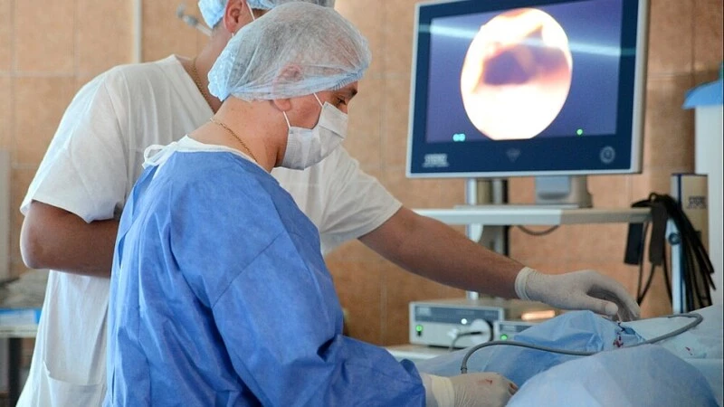 В Сахалинской области создается Тихоокеанский медицинский кластер