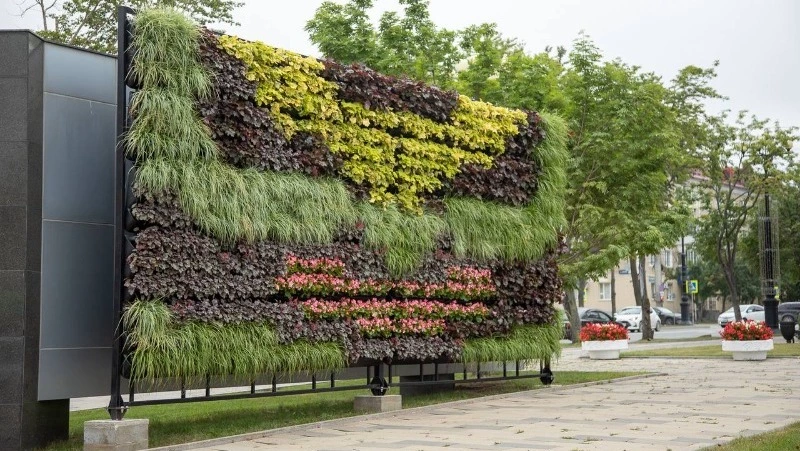 Фитостену из 1200 растений возвели в Южно-Сахалинске