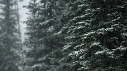 Мороз до –17 градусов и снег ждет жителей Сахалина и Курил 22 ноября