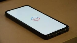 Бизнес Сахалина сможет решать проблемы на «Госуслугах»