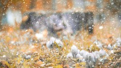 Погода в Южно-Сахалинске 18 ноября: +8 и дождь с мокрым снегом