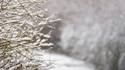 Снежную погоду спрогнозировали синоптики 5 ноября в Сахалинской области