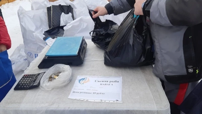 Свежую навагу привезут в Южно-Сахалинск 13 января по программе «Доступная рыба»