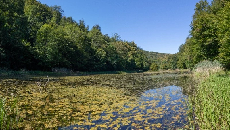 Церковный праздник 29 июня 2024: что нельзя делать в этот день, приметы