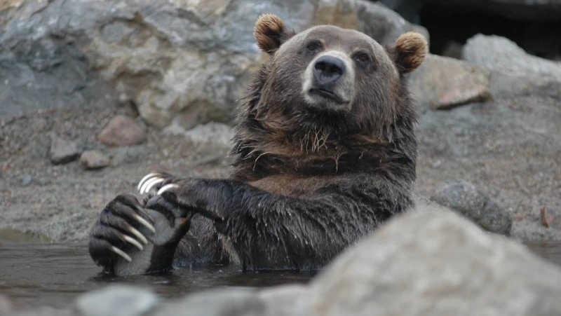 Церковный праздник 16 марта 2025: что нельзя делать в этот день, приметы