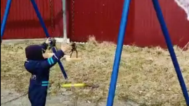 Суровые игрушки: в Южно-Сахалинске для детей установили качели выше их роста