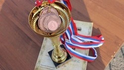 В России предложили учредить знак отличия за развитие Дальнего Востока