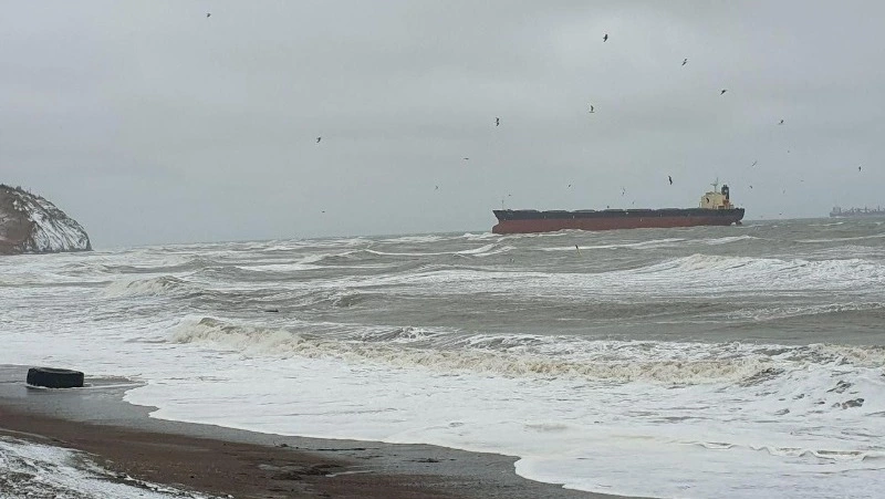 Иностранное судно село на мель в порту Шахтерск 22 апреля