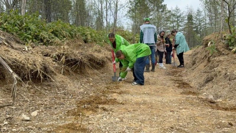 В области посадили «Сад памяти»