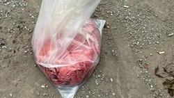 Несовершеннолетние браконьеры незаконно добыли почти 7 кг икры в Корсаковском районе