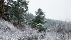 Метель ночью, затишье днем: прогноз погоды в Южно-Сахалинске 7 февраля