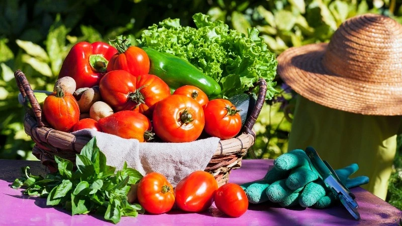 Церковный праздник 20 июня 2025: что нельзя делать в этот день, приметы