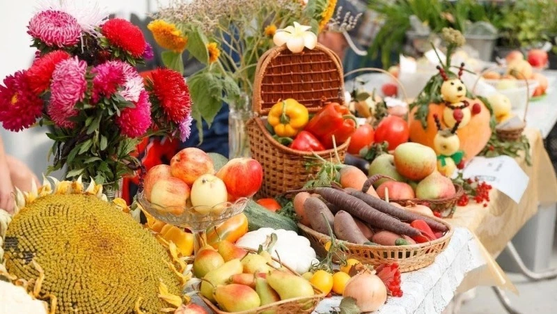 Ярмарка, теннис и кросс: анонс мероприятий в Углегорском округе