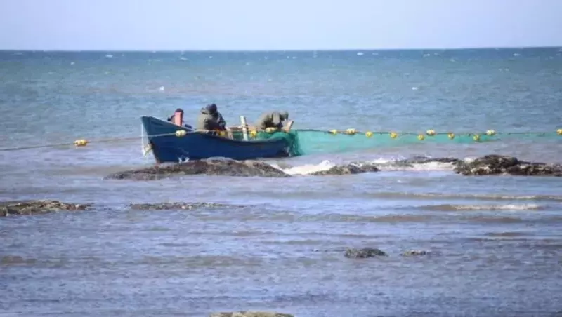 Росрыболовство: РУЗы на Сахалине обеспечивают сохранение тихоокеанских лососей