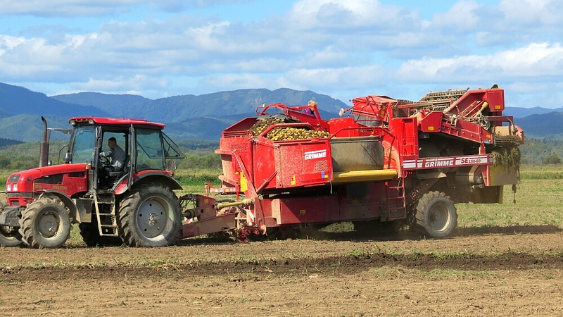 Сельскохозяйственные проекты в рамках ТОР дадут 1 млн тонн продукции