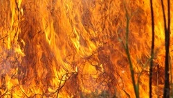 Особый противопожарный режим установили в Охе с 11 июля