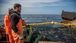 Места установки неводов для добычи лосося одобрили на Сахалине и Курилах