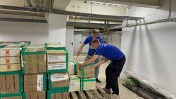 Частичкой Сахалина поделились волонтеры «Молодой гвардии» с Донбассом