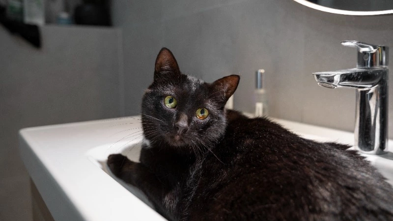 Горячую воду и свет отключат до вечера в нескольких домах Южно-Сахалинска 30 апреля