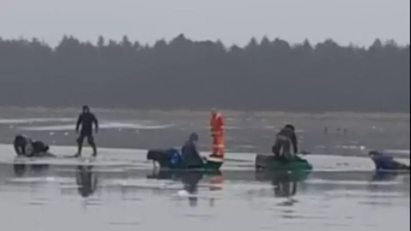 С наступлением холодов на озерах Сахалина появились первые «ледовые ползунки»
