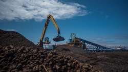 На удобрение полей в Южной Корее отправилось 50 тысяч тонн сахалинского торфа