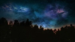 Гороскоп на 7 декабря 2025 года для всех знаков зодиака