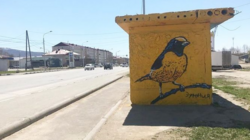 Уличный художник нарисовал редкую птицу на Сахалине