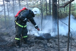 Пожар уничтожил 17 гектаров леса в Охинском районе