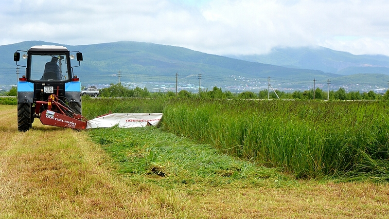 Сахалинстат призывает респондентов активнее участвовать в сельхозпереписи