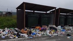 «Устроили «МакАвто»: Озёрское за выходные забросали мусором из машин