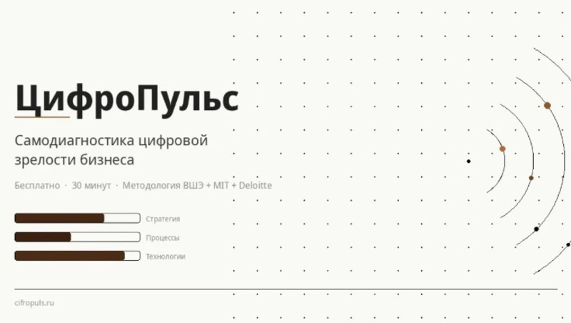 Бесплатный сервис «ЦифроПульс» для оценки цифровизации бизнеса запустили на Сахалине