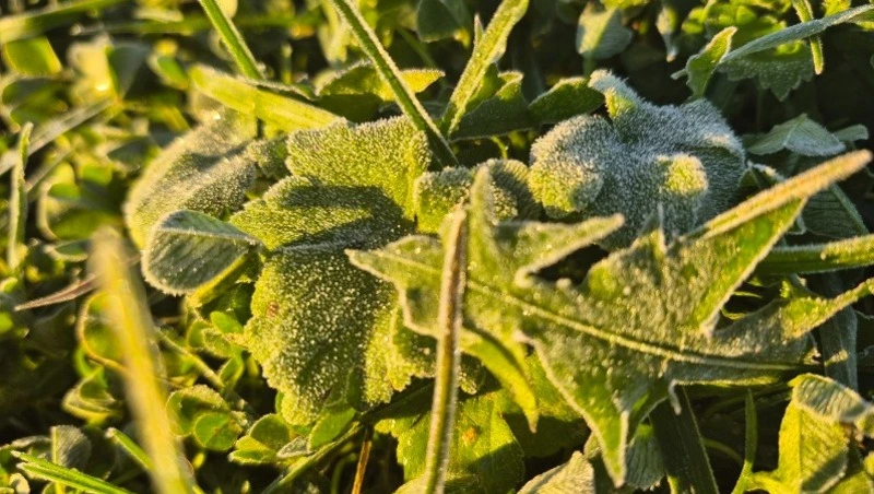 Снег, мороз и дожди: прогноз погоды для Сахалина и Курил на 16 октября