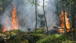 На территории Тымовского района объявили высокую пожарную опасность с 21 июля