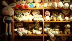 Стало известно, что грозит ребенку, подозреваемому в краже игрушки в Холмске