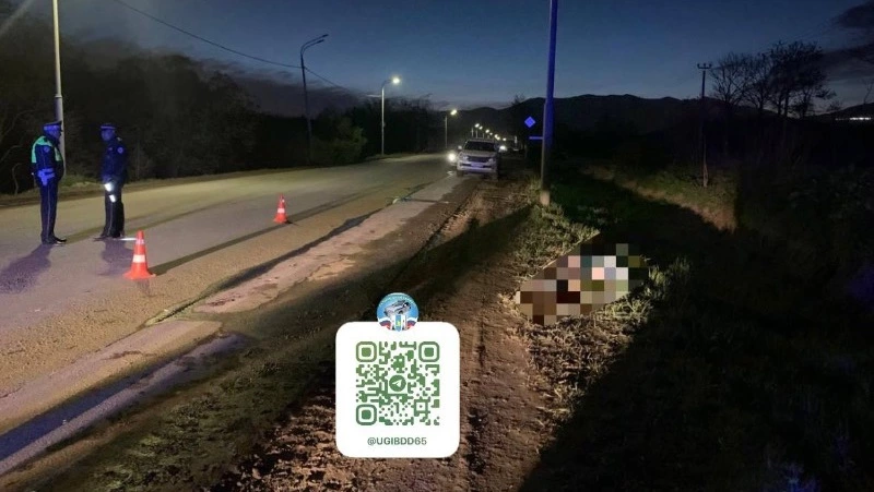 Один человек скончался, второй – пострадал: водитель сбил пешеходов в Южно-Сахалинске 