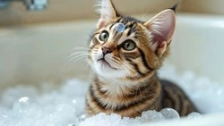 Холодную и горячую воду, а также отопление отключат в Южно-Сахалинске 16 апреля