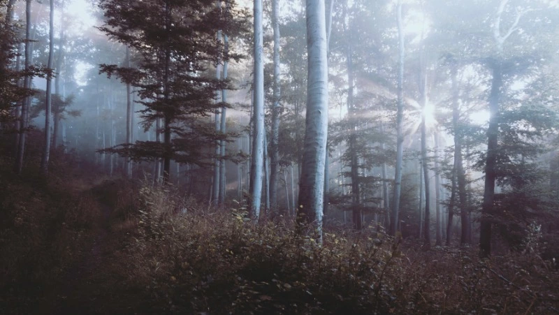 Ветер с запада принесет снег с дождем на Сахалин и Курилы 24 апреля