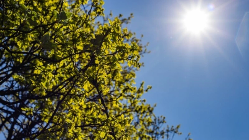 Синоптики прогнозируют улучшение погоды в Сахалинской области 30 мая