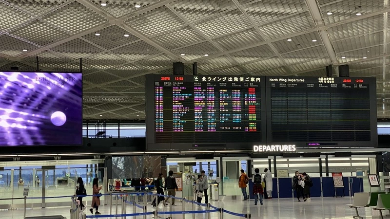 Посольство не поможет: сахалинцы рассказали, как добирались домой из Японии