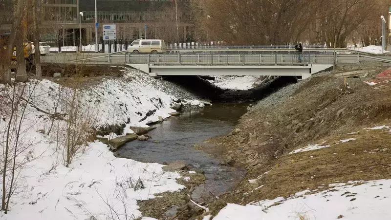 Около 160 деревьев уберут из русла реки Рогатки в Южно-Сахалинске 