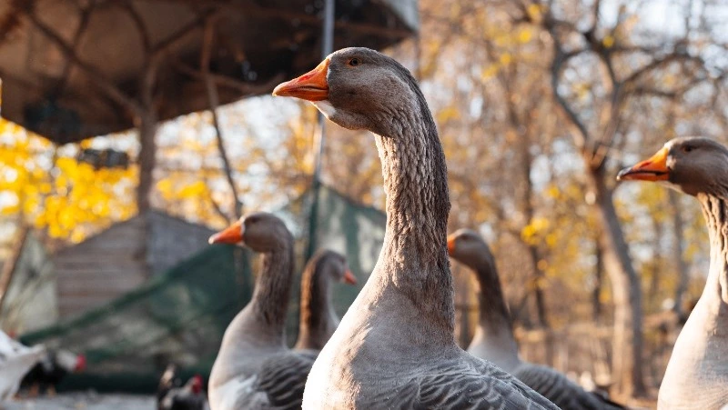 Церковный праздник 28 сентября 2024: что нельзя делать в этот день, приметы