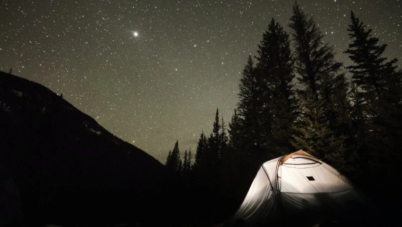 Гороскоп на 12 января 2024 года: коллективные мероприятия и перемены в личной жизни 