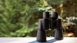 Пенсионер из Чехова украл бинокль с прилавка охотничьего магазина 