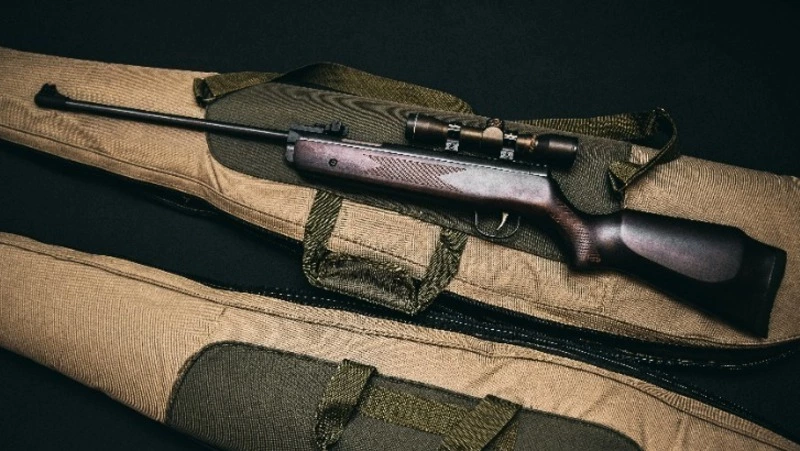 Житель Холмского района ответит в суде за стрельбу по портативной колонке