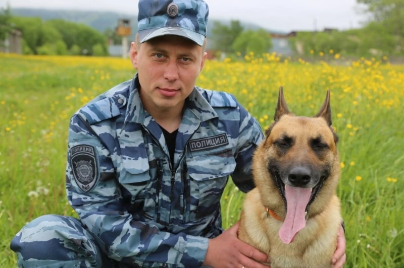 Серебряная собака