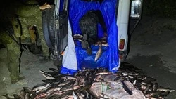 На реке Лукошке в Долинском районе поймали двоих браконьеров